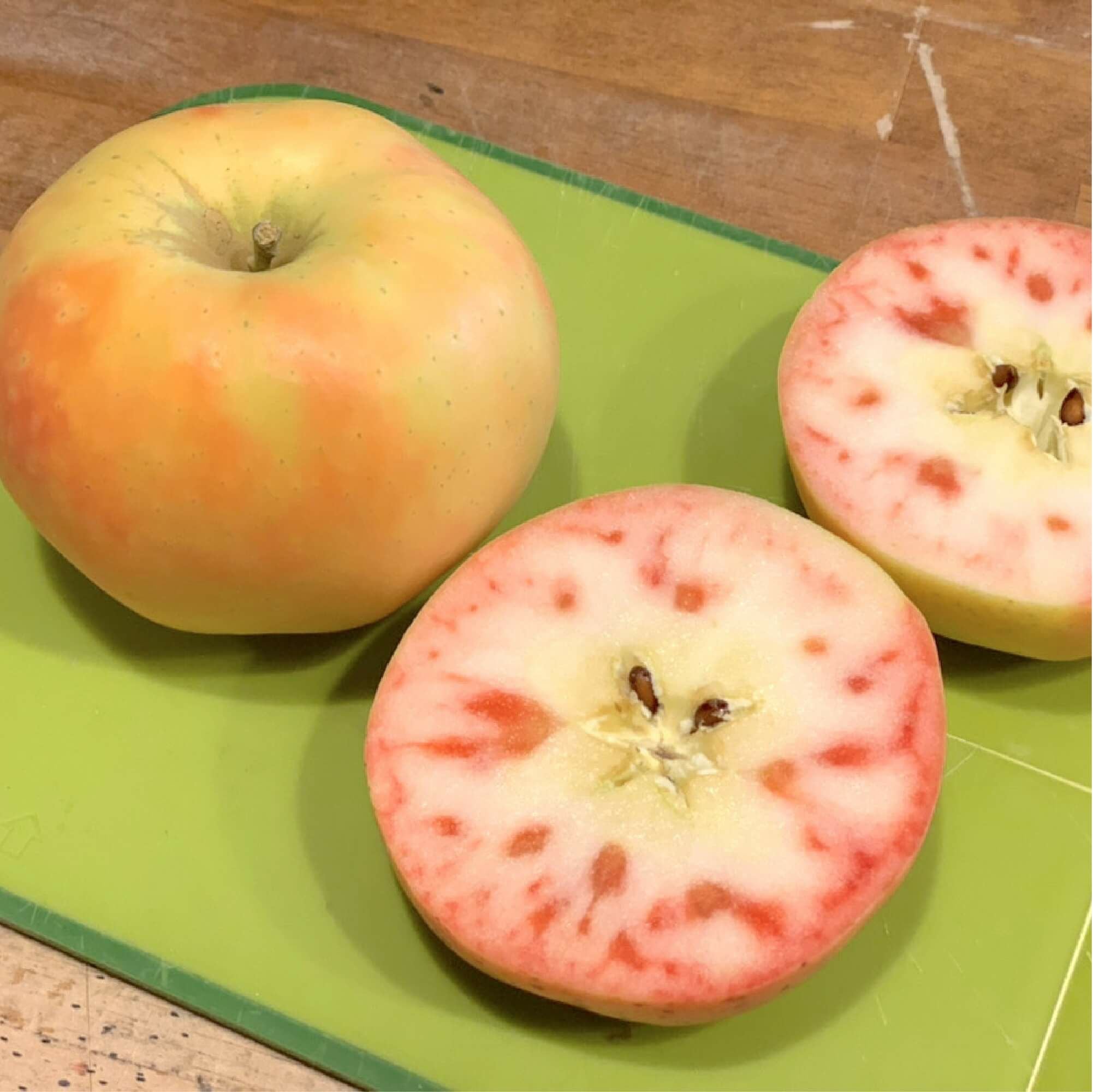 数量限定】ムーンルージュ 2kg箱サイズ | COCORO FARM VILLAGE