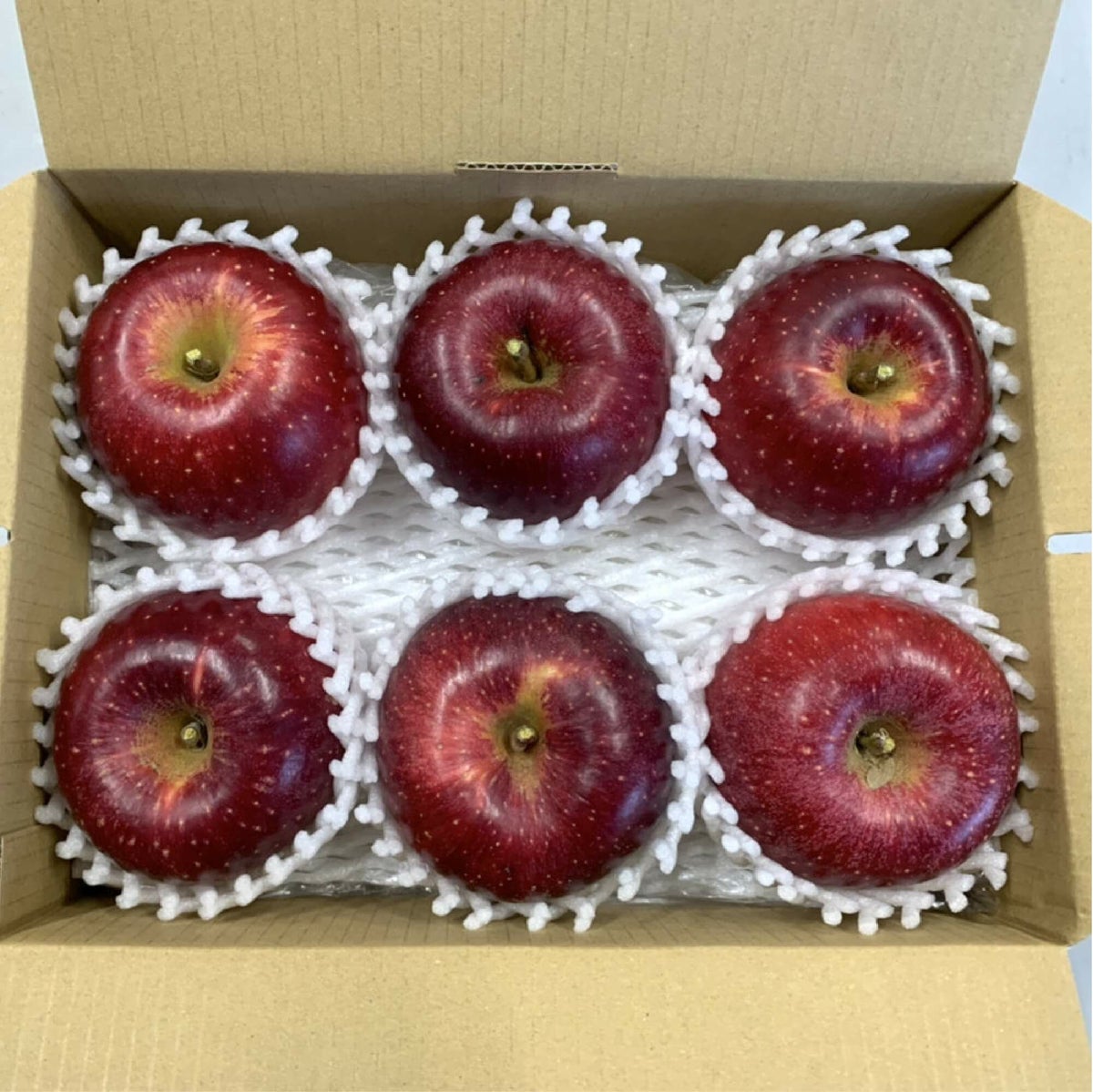 シナノホッペ