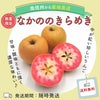 なかののきらめき