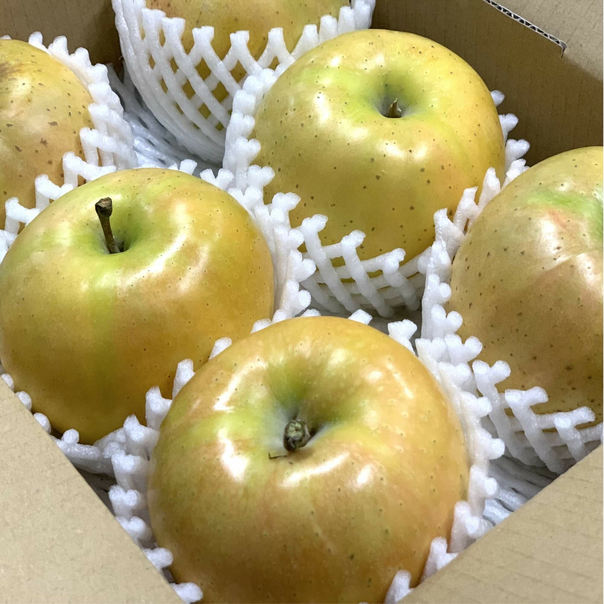 数量限定】なかののきらめき 2kg箱サイズ | COCORO FARM VILLAGE