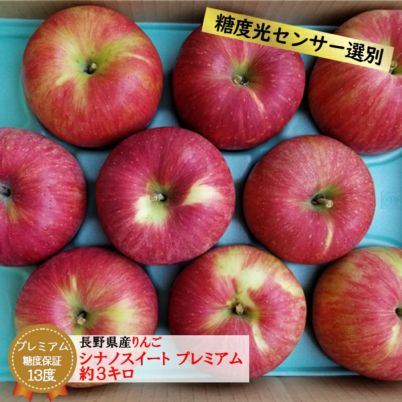 お得　高糖度のシナノスイート10k じぃじの美味しい林檎 青森 りんご 家庭用 10キロ サンふじ ふじ お得 お買い得 安い 甘い