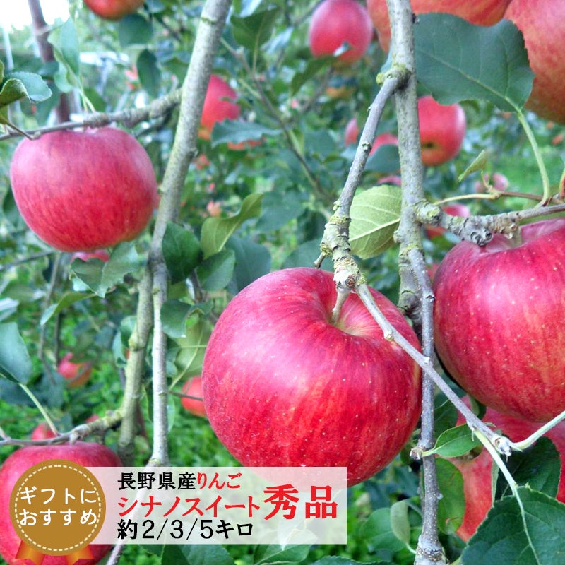 長野県産りんご シナノスイート 贈答 秀品