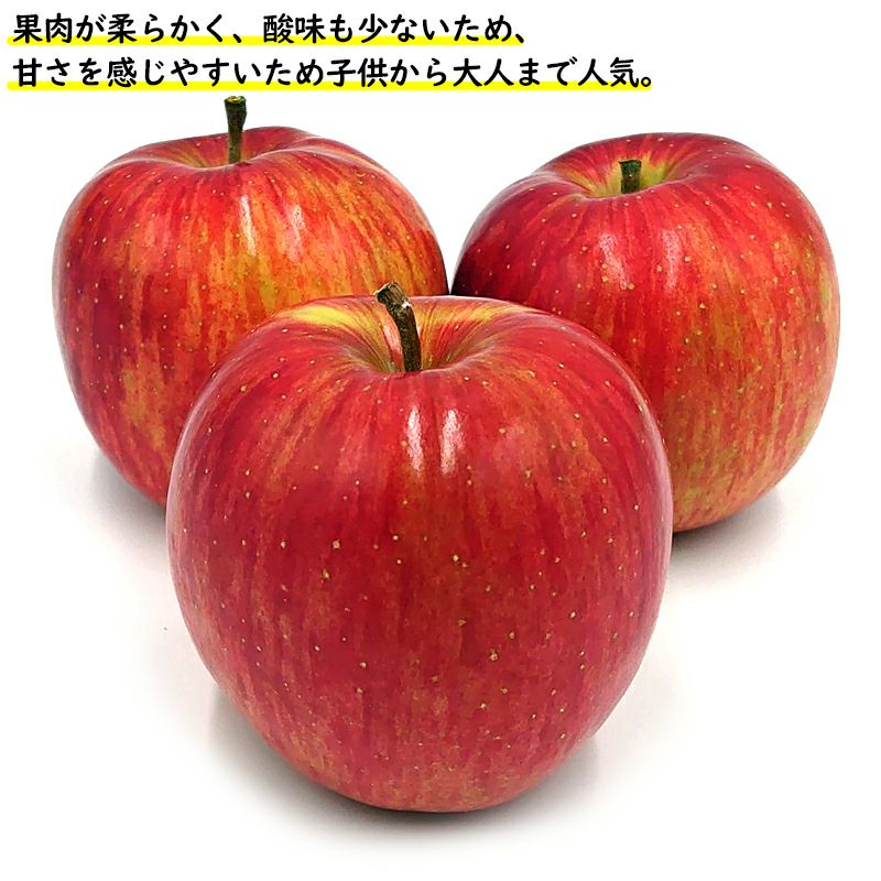 長野県産 りんご シナノスイート 特秀 3キロ 5キロ | COCORO FARM VILLAGE