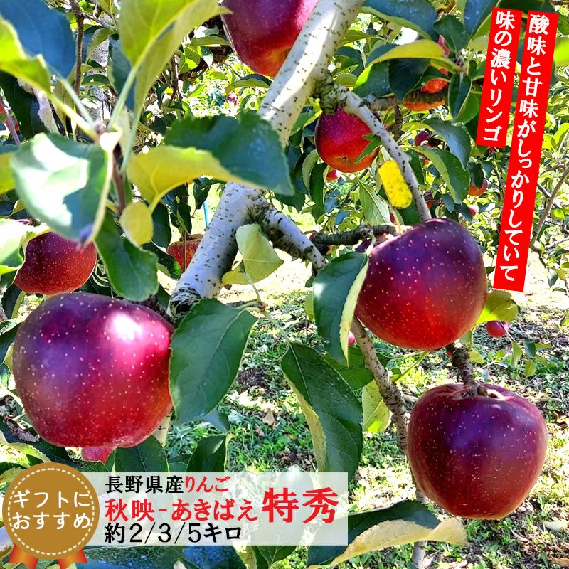 長野県産 りんご 秋映 あきばえ 特秀 | COCORO FARM VILLAGE