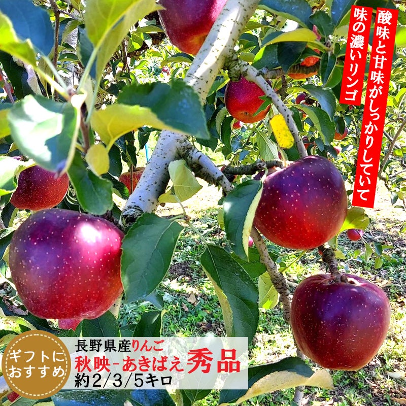 長野県産りんご 秋映 あきばえ 贈答 秀品