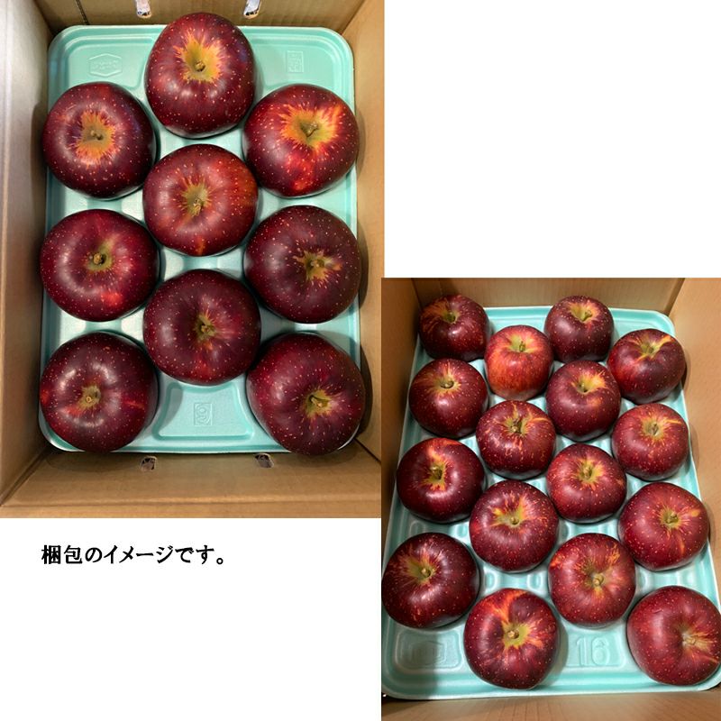 長野県産 りんご 秋映 あきばえ 特秀 | COCORO FARM VILLAGE