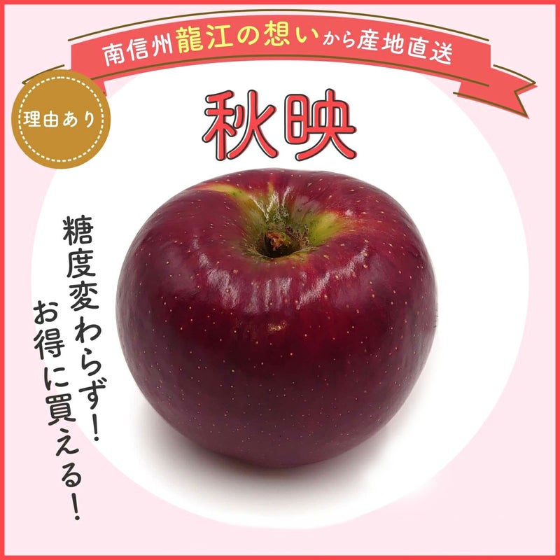 訳あり ご自宅向け 長野県産りんご 秋映 あきばえ