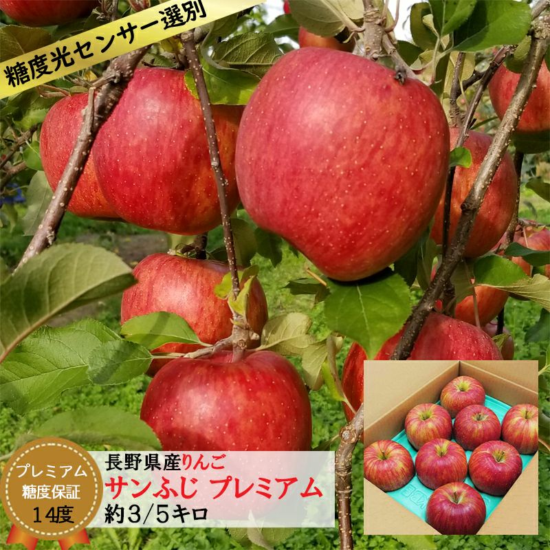 長野県産 りんご サンふじ プレミアム ギフト