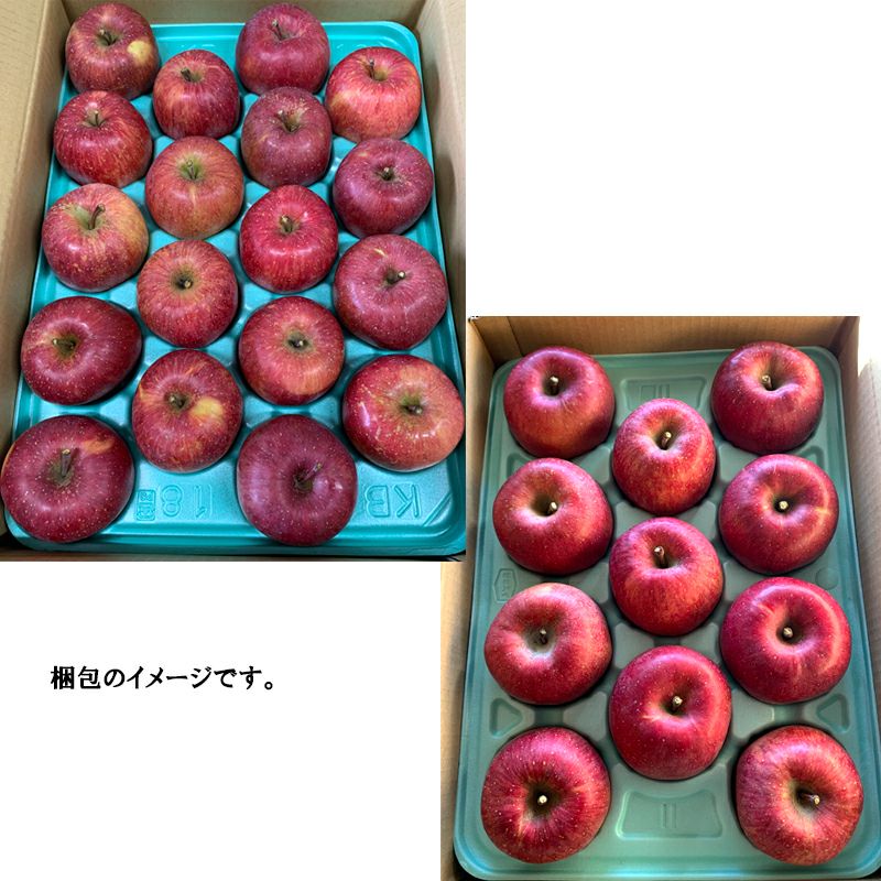 長野県産 りんご サンふじ 特秀ご贈答やご自宅にも。 | COCORO FARM