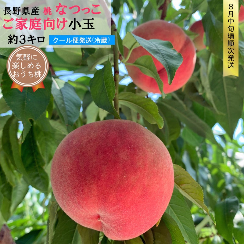 長野県産 桃 なつっこ小玉 約3キロ 自宅用 | COCORO FARM VILLAGE