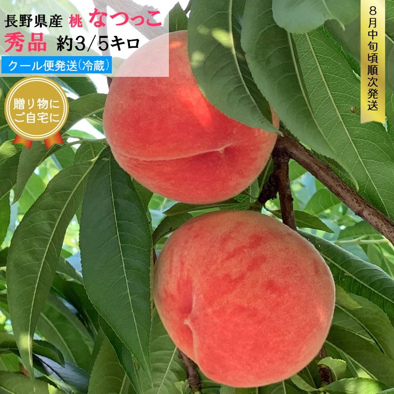 長野県産 桃 なつっこ 贈答用 秀品 約3/5キロ