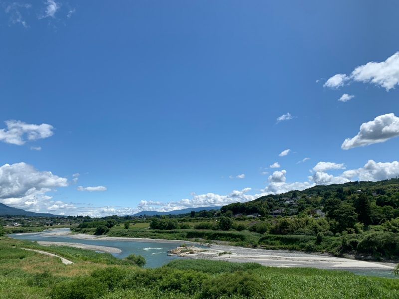 長野県産 桃 なつっこ 特秀 約3キロ / 約5キロ ギフト 贈答用 | COCORO