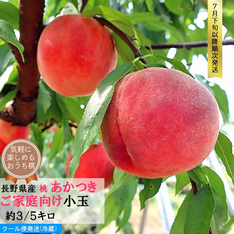長野県産 桃 あかつき小玉 約 3/5キロ 自宅用 | COCORO FARM VILLAGE