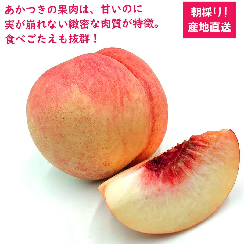 000000000228-04.jpg?size=l&w=