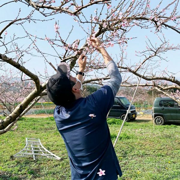 長野県産 桃 あかつき小玉 約 3/5キロ 自宅用 | COCORO FARM VILLAGE