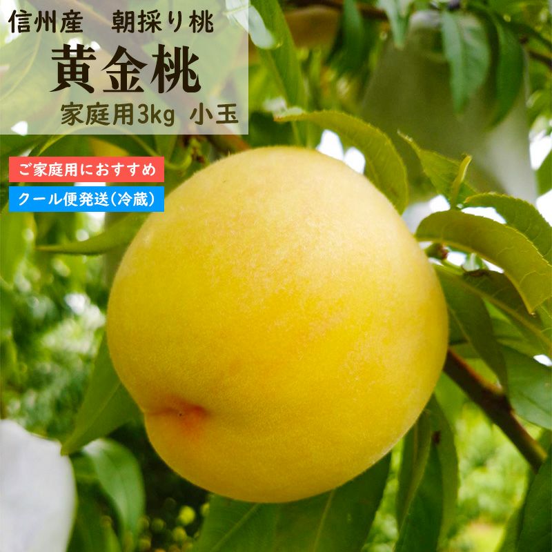 長野県産 桃 黄金桃家庭用 小玉 約3kg | COCORO FARM VILLAGE
