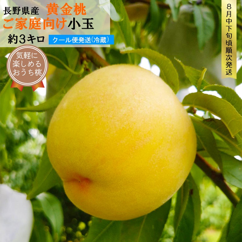 【ご自宅用】長野県産 桃 黄金桃 小玉 約3キロ
