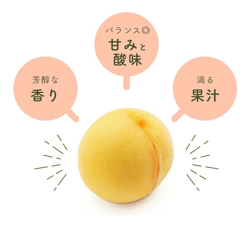 長野県産 桃 黄金桃贈答用 秀品 約3/5キロ | COCORO FARM VILLAGE