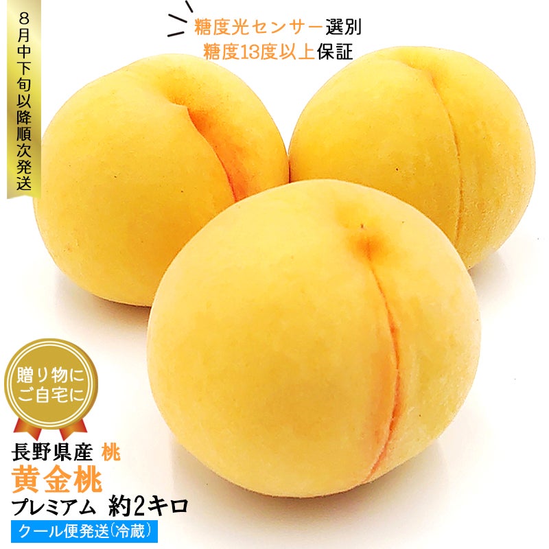 長野県産 桃 黄金桃 プレミアム 約2キロ 贈答に。自分の褒美に。