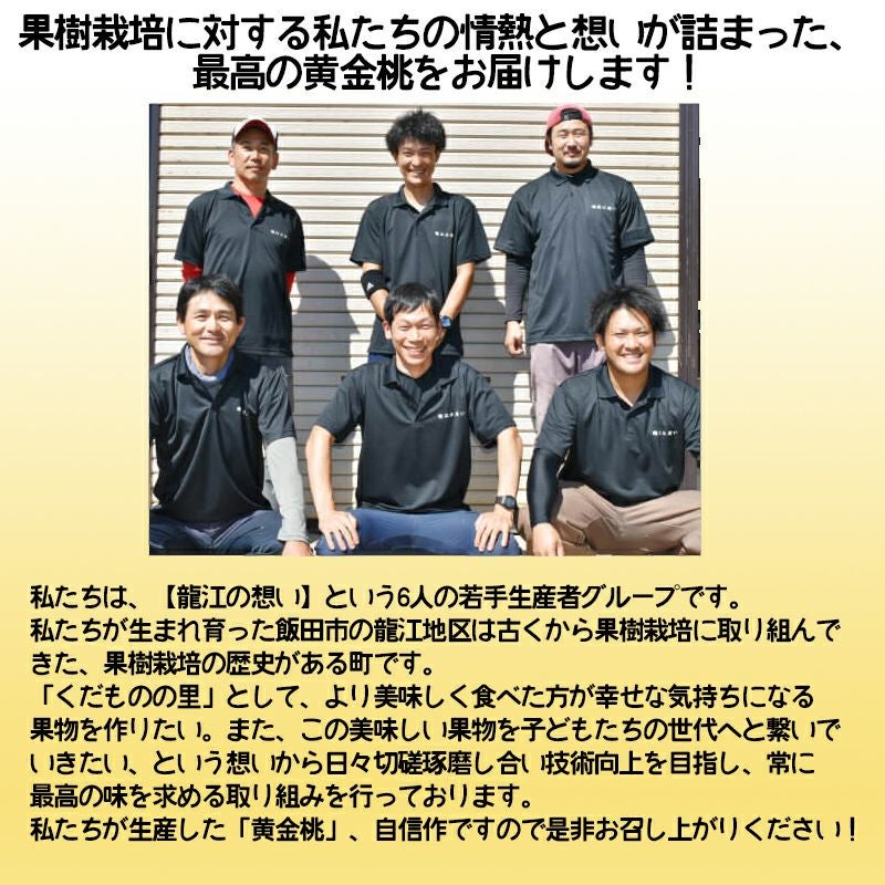 長野県産 桃 黄金桃プレミアム 約2キロ贈答に。自分の褒美に