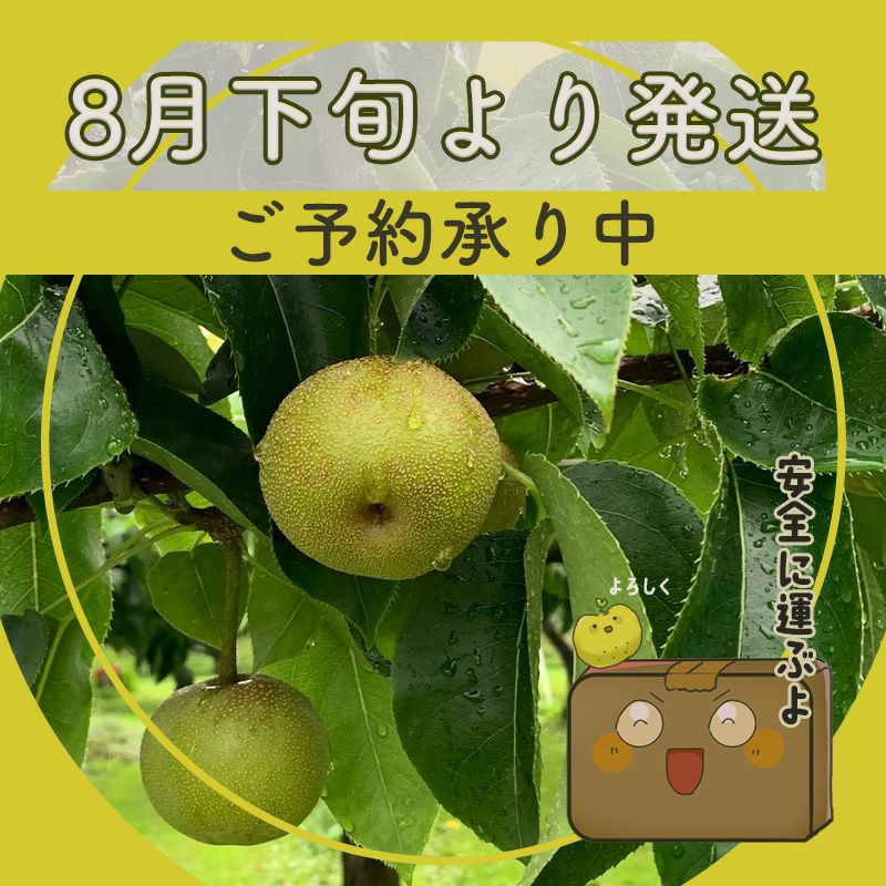 梨　幸水　豊水　詰め合わせ　約12キロ（箱込） 000000000233-08.jpg?size=l&w=