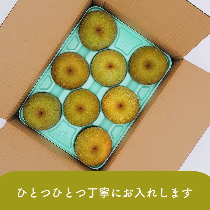 梨　幸水　豊水　詰め合わせ　約12キロ（箱込） 000000000233-08.jpg?size=l&w=