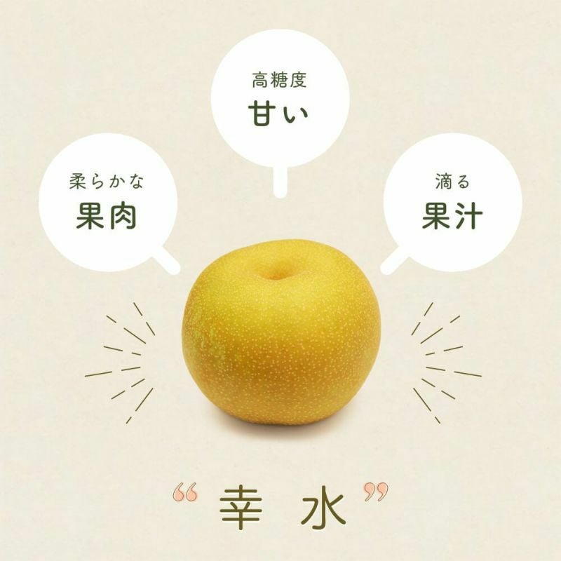長野県産 幸水 梨 小玉 20kg 家庭用 終了間近！！！ 000000000234-03.jpg?size=l&w=