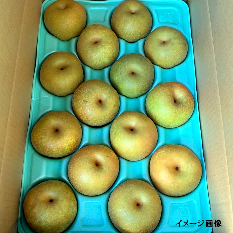 長野県産 梨 幸水 小玉 約3キロ 5キロ家庭用 | COCORO FARM VILLAGE