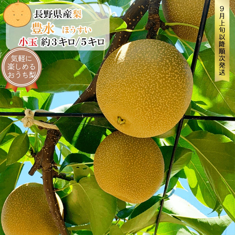 【ご自宅用】長野県産 梨 豊水 小玉 約3キロ / 約5キロ