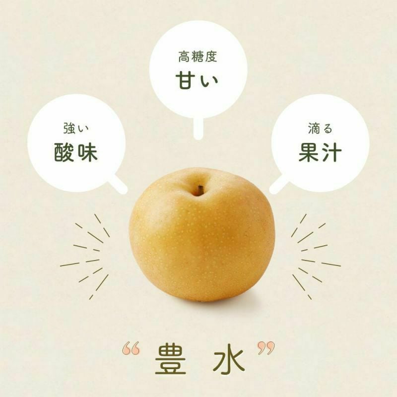 長野県産梨 豊水家庭用 約3キロ 5キロ | COCORO FARM VILLAGE