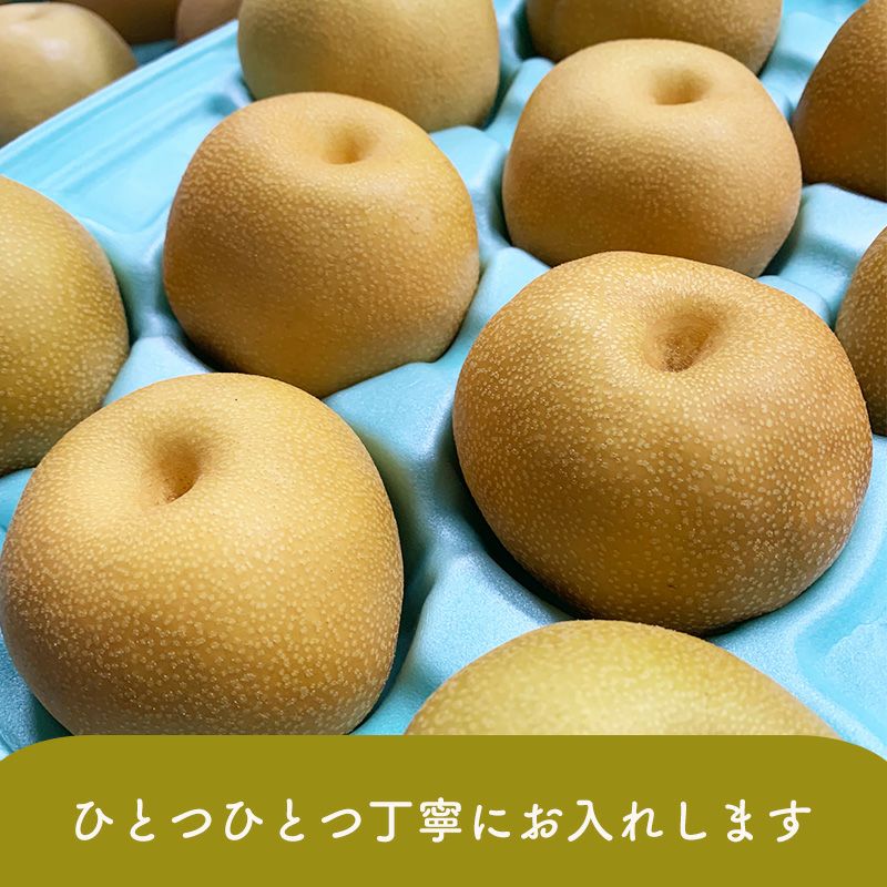 長野県産梨 豊水家庭用 約3キロ 5キロ | COCORO FARM VILLAGE