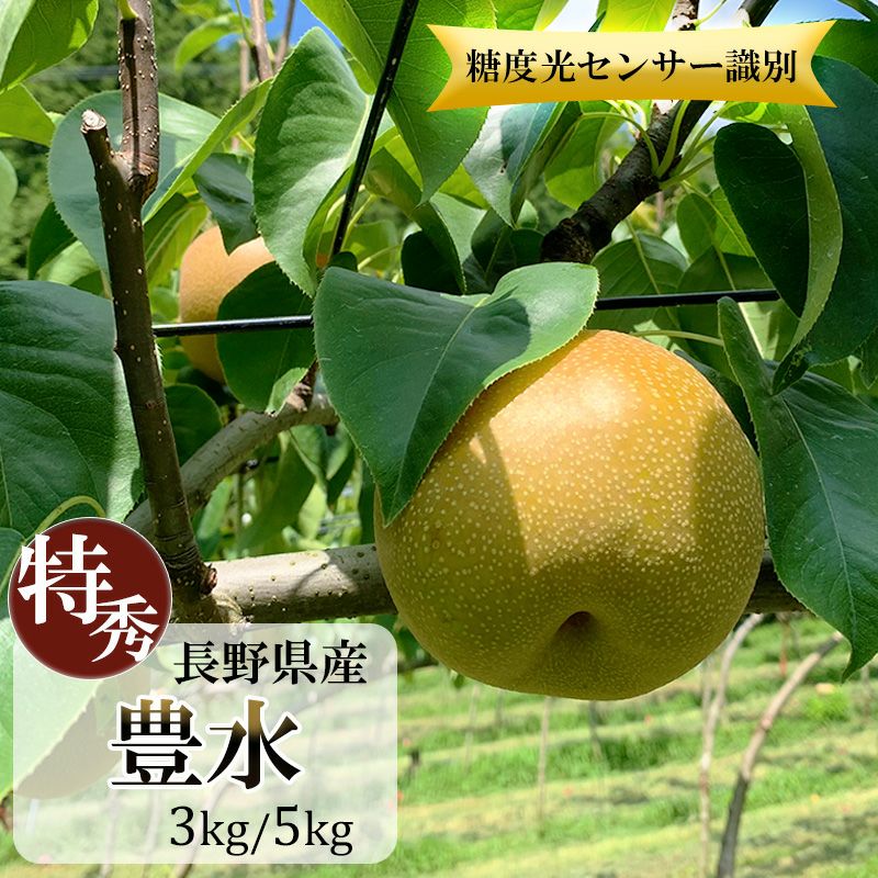 梨　豊水　成木 846b4f90abad6bdbd7636924268e65