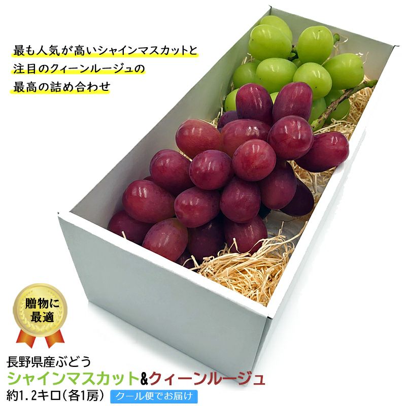 ここぶどう ぶどう|ココロマルシェ