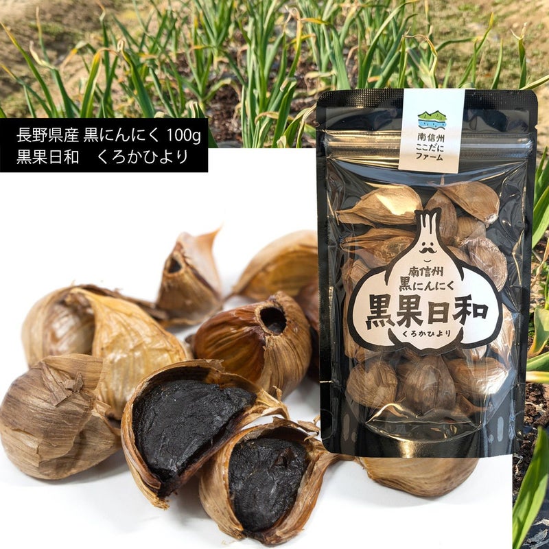 長野県産黒にんにく 100g 秀品 黒果日和 くろかひより