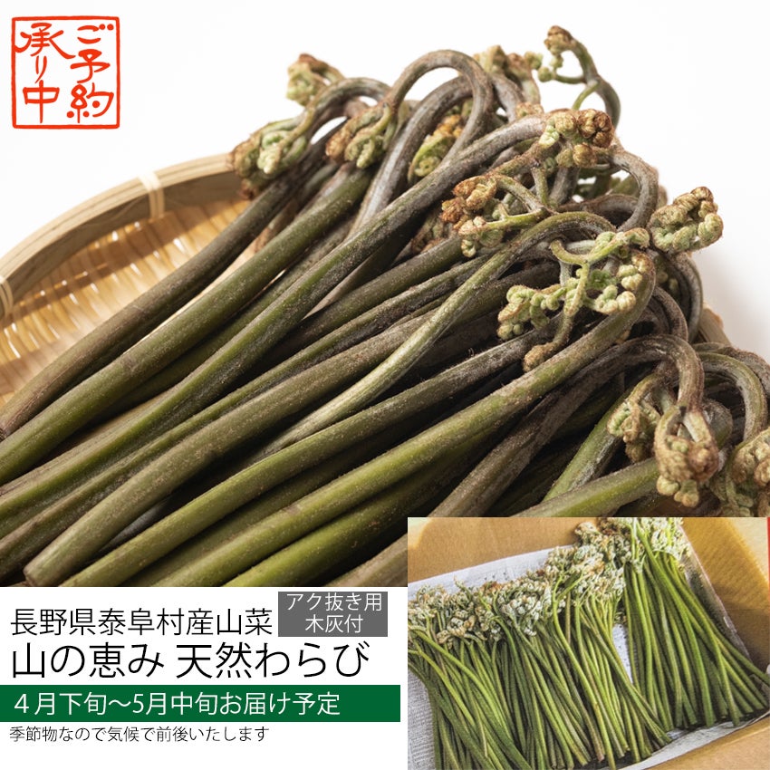 予約】長野県産 天然わらび 山菜 | COCORO FARM VILLAGE
