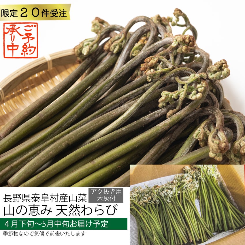 長野県 天然わらび
